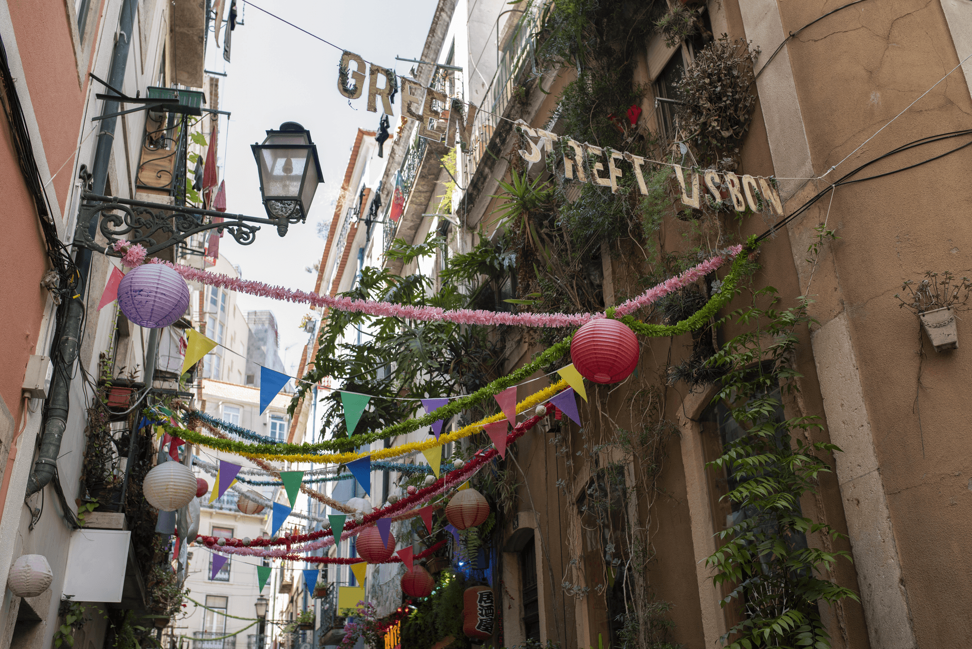 С чего все началось